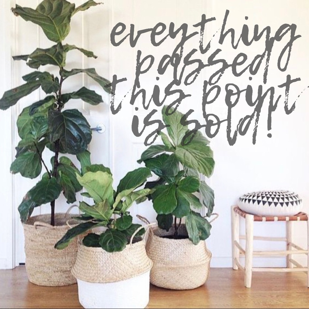 Everything Passed This Point Is Sold:)